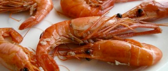 Panel Challenges Gulf Seafood Safety All-Clear